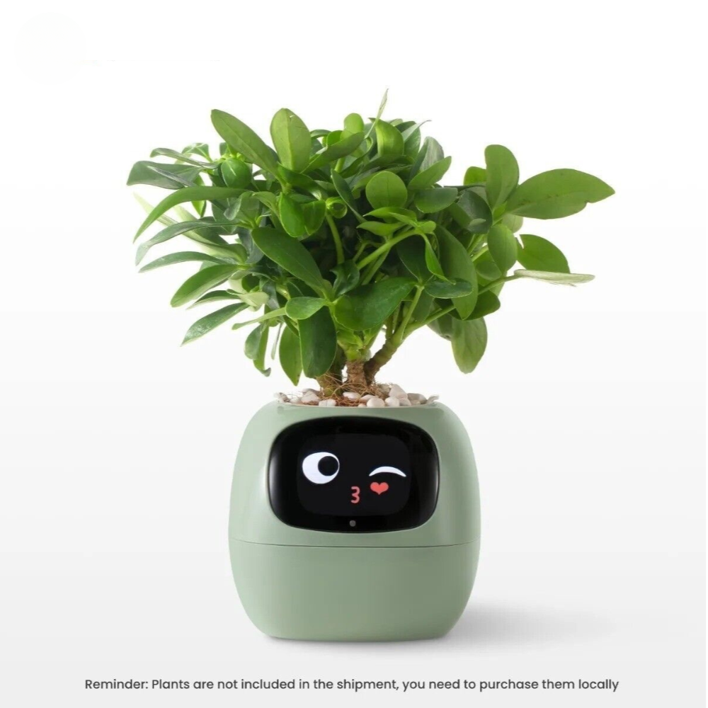 Beyond Smart Planter