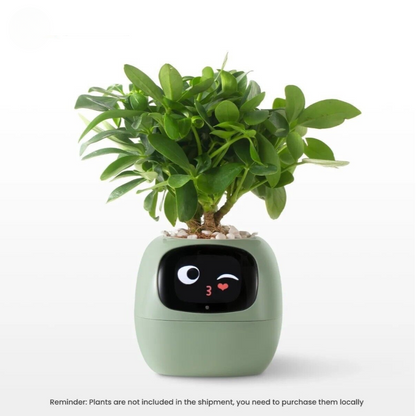 Beyond Smart Planter