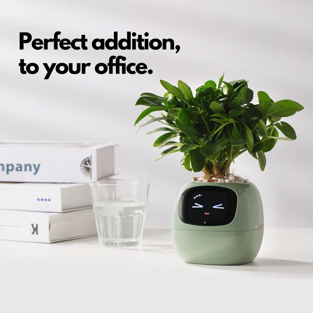 Beyond Smart Planter