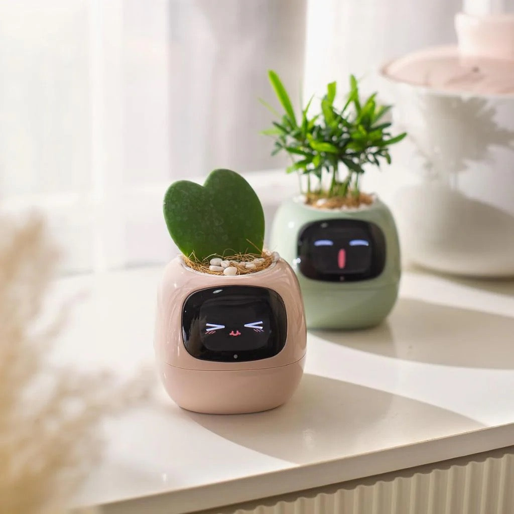 Beyond Smart Planter