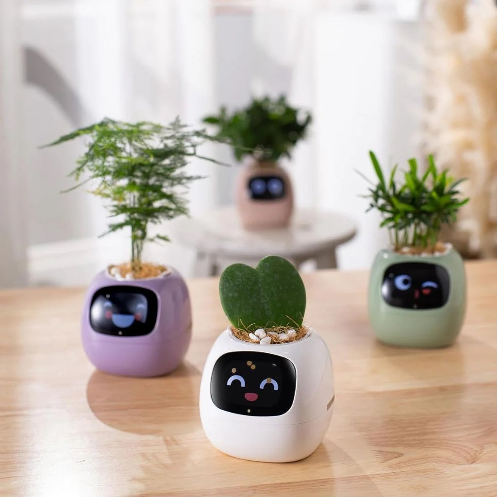 Beyond Smart Planter