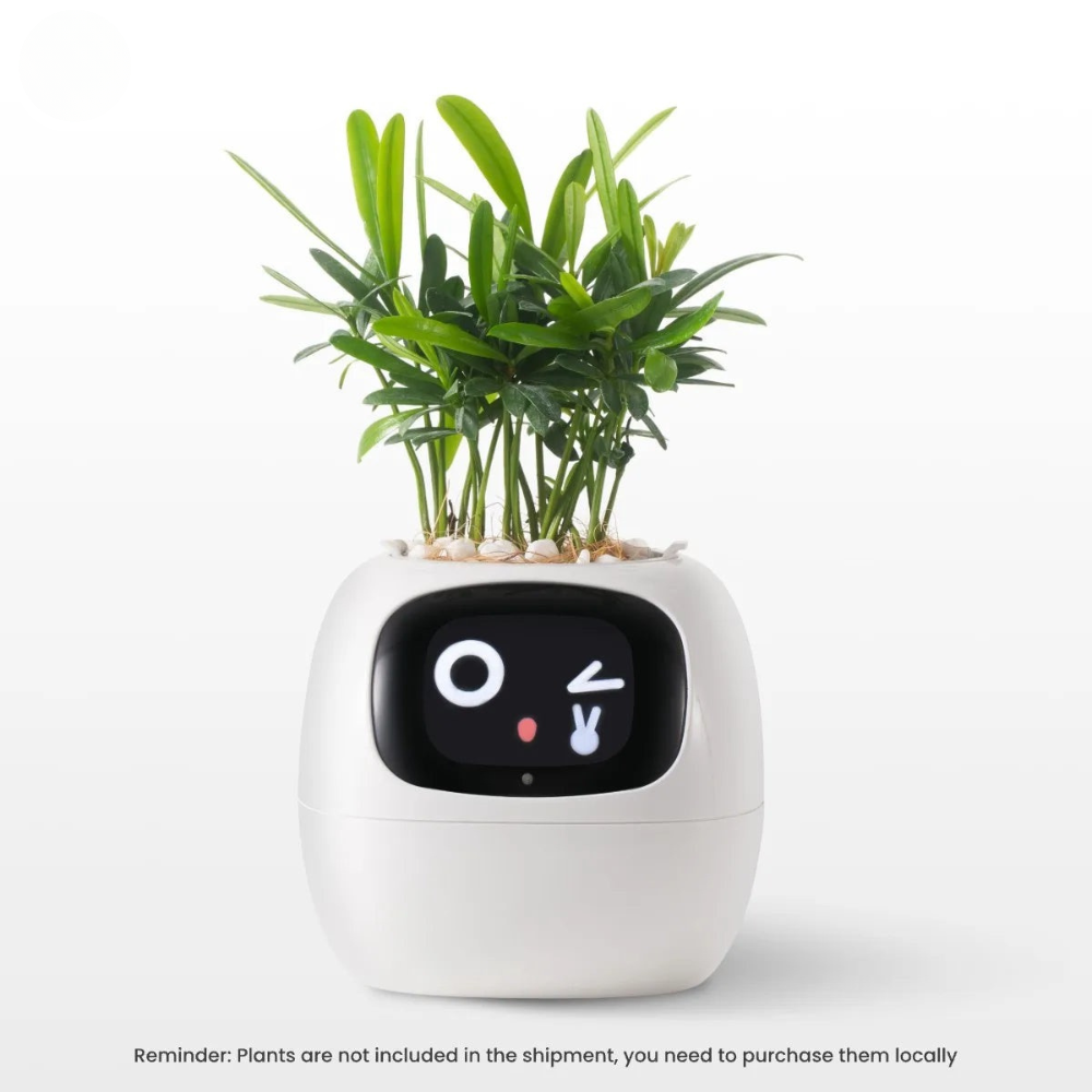 Beyond Smart Planter