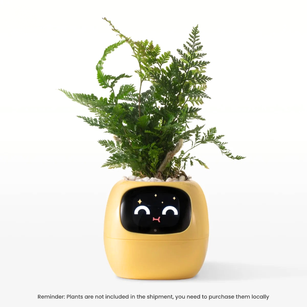 Beyond Smart Planter